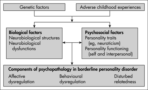 Three-Factor Model of the DSM-IV Borderline Personality Disorder